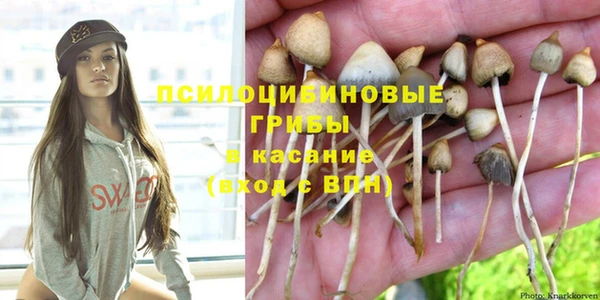 прущий лед Дмитров