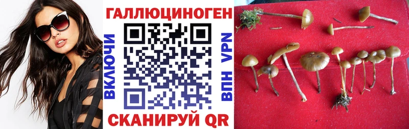 Псилоцибиновые грибы прущие грибы ссылка на мегу онион Петухово купить наркоту